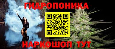 прущие крисы Гусев