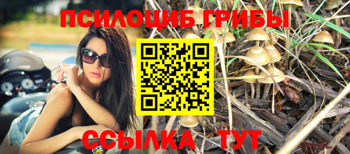 Псилоцибиновые грибы мухоморы Междуреченск