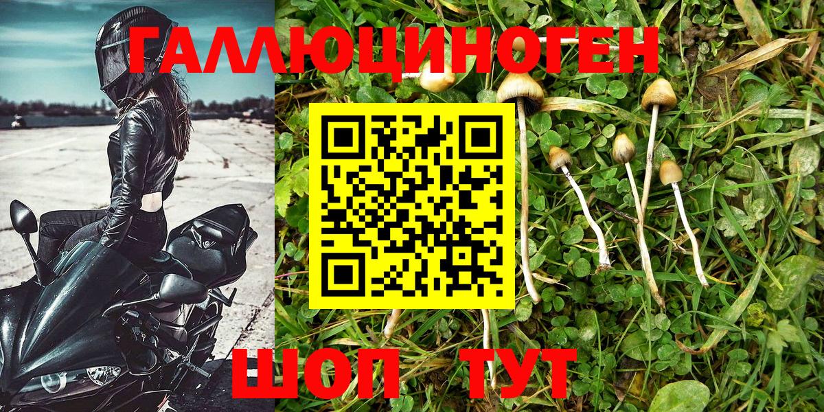 Галлюциногенные грибы Psilocybine cubensis  Вход с VPN  Междуреченск  Галлюциногенные грибы GOLDEN TEACHER 